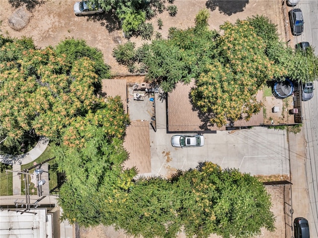 770 Allegheny Ave, Beaumont, CA 92223 - photo 9