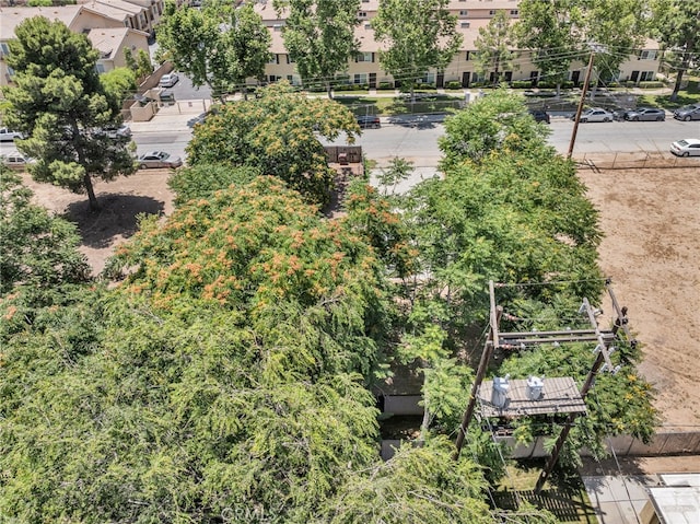 770 Allegheny Ave, Beaumont, CA 92223 - photo 14
