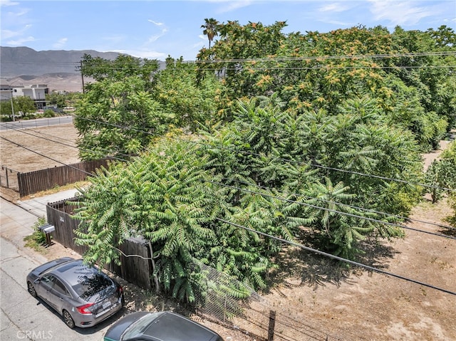 770 Allegheny Ave, Beaumont, CA 92223 - photo 8