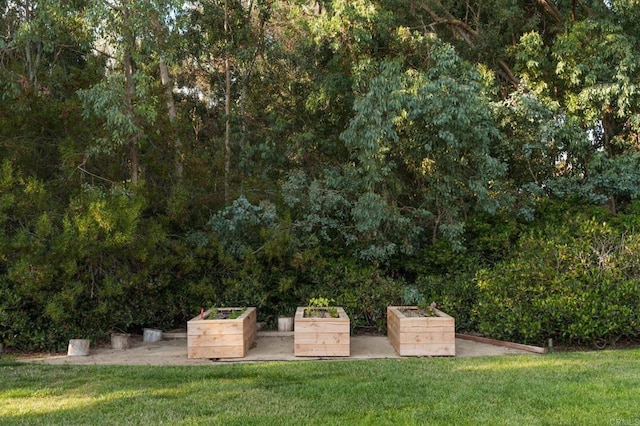 17274 Calle Mayor, Rancho Santa Fe, CA 92067 - view of green lawn featuring a vegetable garden and a forest view