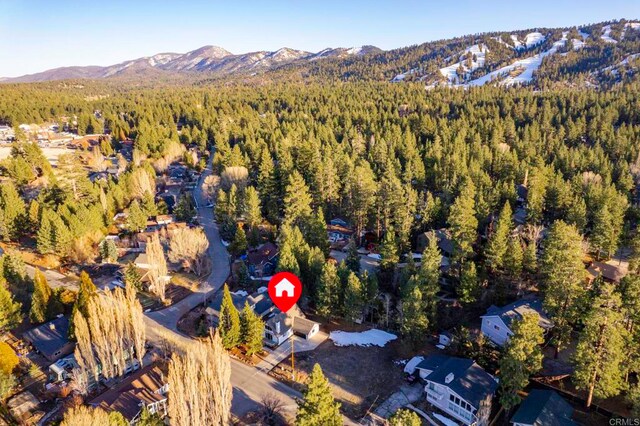 41605 Swan Dr, Big Bear Lake, CA 92315 - photo 27