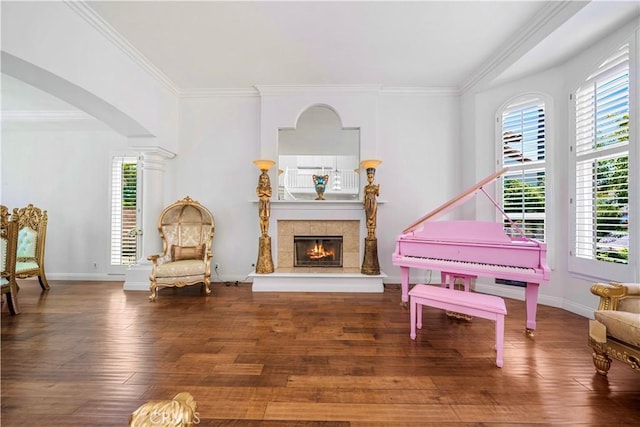 29212 Dean St, Laguna Niguel, CA 92677 - sitting room featuring healthy amount of natural light, wood-type flooring, ornamental molding, a fireplace, and arched walkways