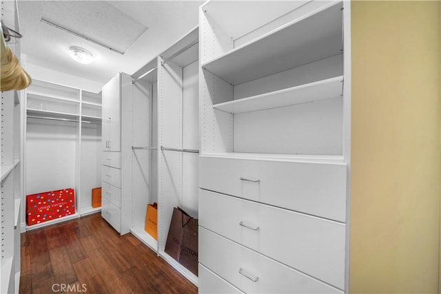 29212 Dean St, Laguna Niguel, CA 92677 - walk in closet with dark wood-style floors