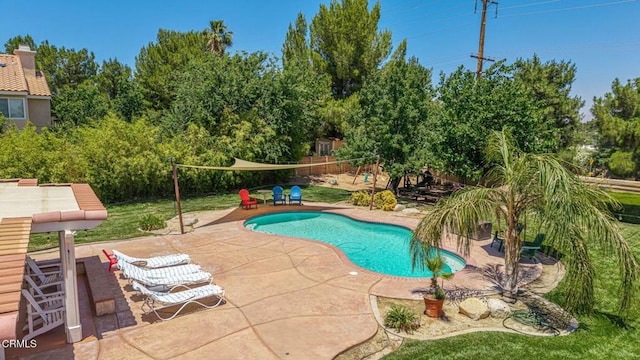 4665 Northridge Dr, Palmdale, CA 93551 - view of pool featuring a patio area and view of scattered trees