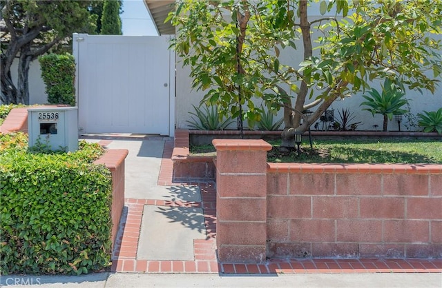 25532 Maximus St, Mission Viejo, CA 92675 - view of gate