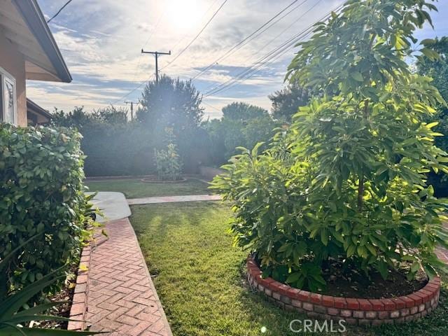 15945 Lashburn St, Whittier, CA 90603 - view of green lawn