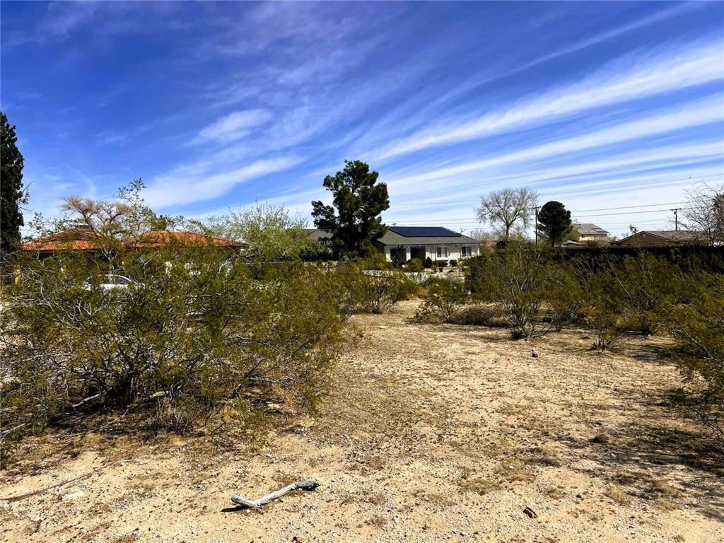 10184 Rea Ave, California City, CA 93505 - photo 8