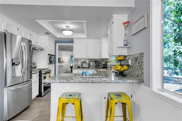 1239 Highridge St, Riverside, CA 92506 - kitchen featuring stainless steel appliances, a raised ceiling, under cabinet range hood, a peninsula, and white cabinetry