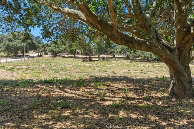 1529 Pomeroy Rd, Arroyo Grande, CA 93420 - view of yard