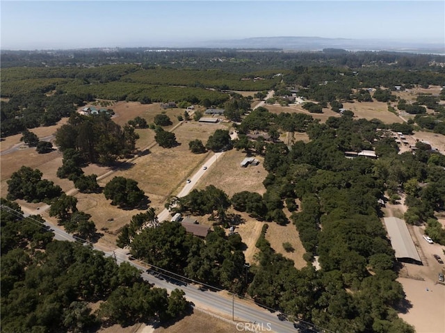 1529 Pomeroy Rd, Arroyo Grande, CA 93420 - aerial view of property and surrounding area