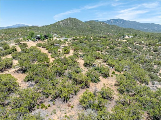 52685 Saddleback Rd, Anza, CA 92539 - view of mountain background
