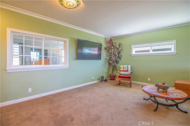 52685 Saddleback Rd, Anza, CA 92539 - living area with crown molding, plenty of natural light, and carpet flooring