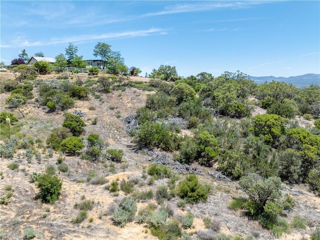 52685 Saddleback Rd, Anza, CA 92539 - view of nature featuring a mountain backdrop