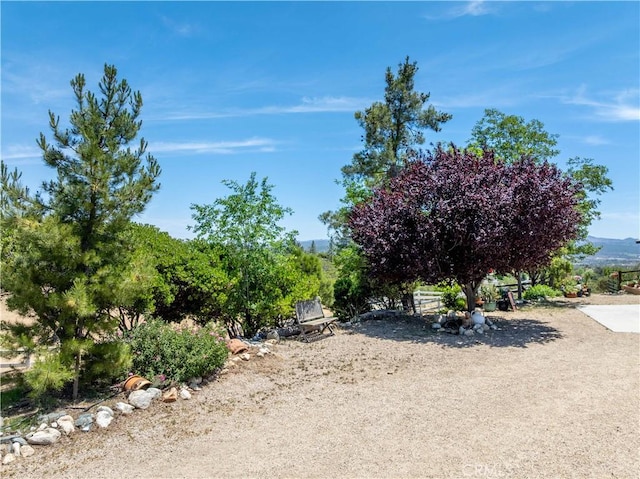 52685 Saddleback Rd, Anza, CA 92539 - view of yard