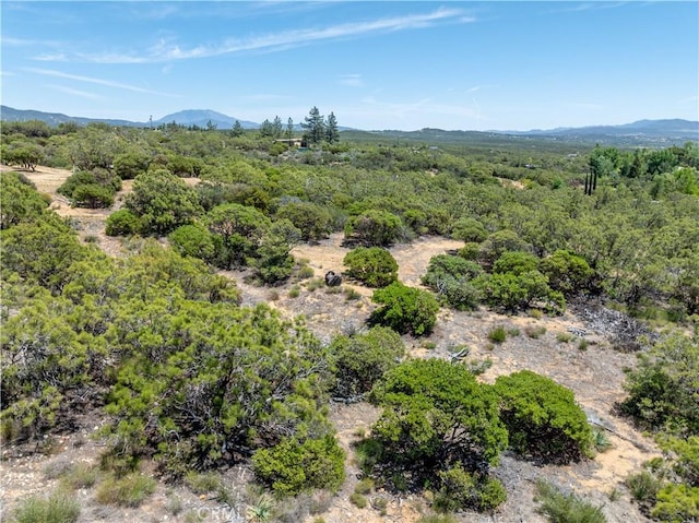 52685 Saddleback Rd, Anza, CA 92539 - view of mountain background