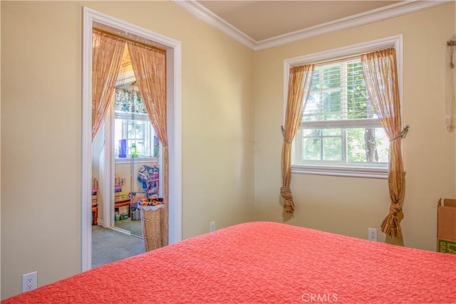52685 Saddleback Rd, Anza, CA 92539 - bedroom featuring a closet, ornamental molding, and carpet floors