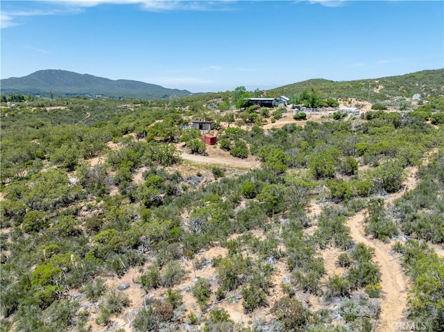 52685 Saddleback Rd, Anza, CA 92539 - view of mountain backdrop