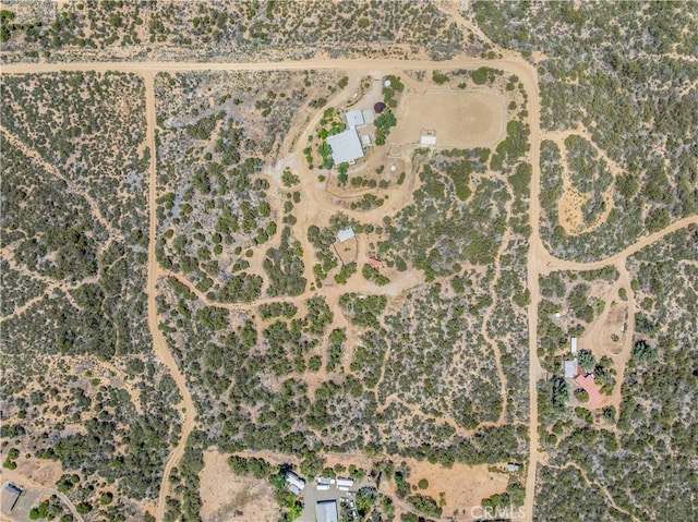 52685 Saddleback Rd, Anza, CA 92539 - map / location