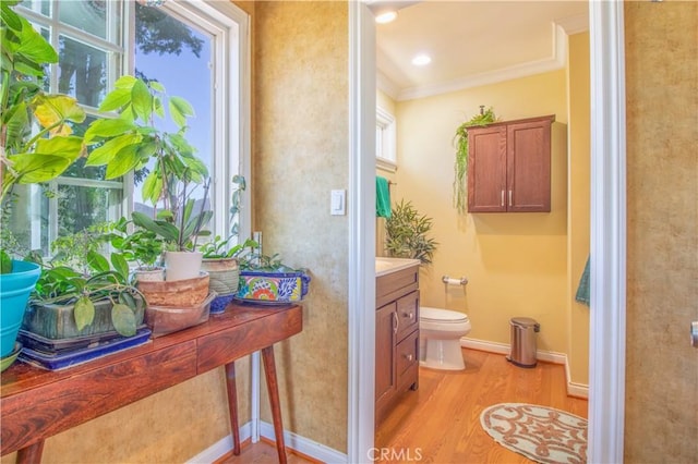 52685 Saddleback Rd, Anza, CA 92539 - bathroom with wood finished floors, crown molding, and vanity
