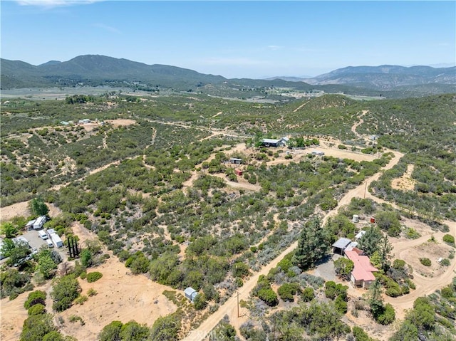 52685 Saddleback Rd, Anza, CA 92539 - aerial view of sparsely populated area featuring a mountain backdrop