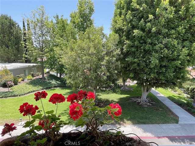 636 NW Avenida Sevilla # O, Laguna Woods, CA 92637 - view of green lawn