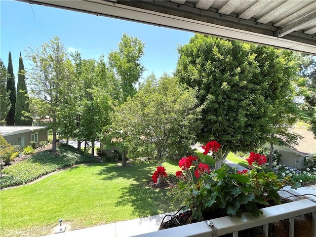 636 NW Avenida Sevilla # O, Laguna Woods, CA 92637 - view of green lawn