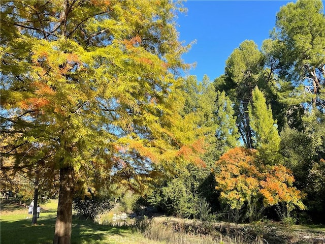 636 NW Avenida Sevilla # O, Laguna Woods, CA 92637 - view of undeveloped land