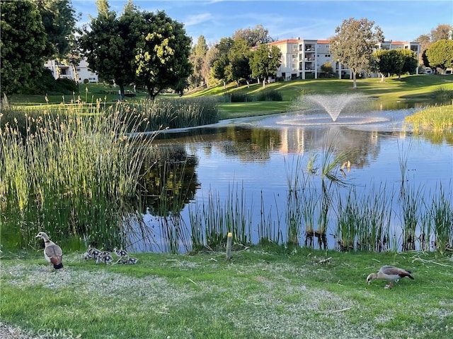 636 NW Avenida Sevilla # O, Laguna Woods, CA 92637 - water view
