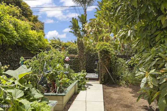 401 S Brent St, Ventura, CA 93003 - view of yard