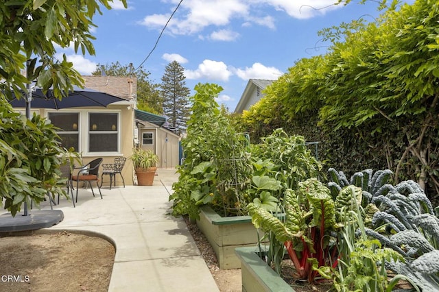 401 S Brent St, Ventura, CA 93003 - view of patio / terrace featuring a shed