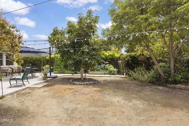 401 S Brent St, Ventura, CA 93003 - view of yard featuring a patio area