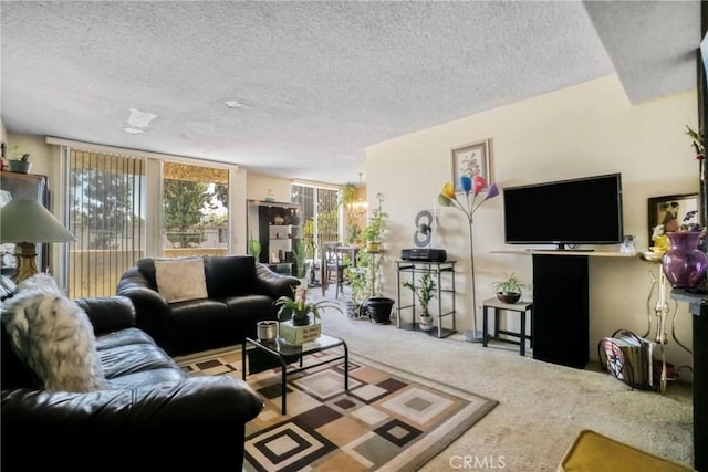 13903 Sherman Way Unit 8, Van Nuys, CA 91405 - living room featuring carpet flooring and a textured ceiling