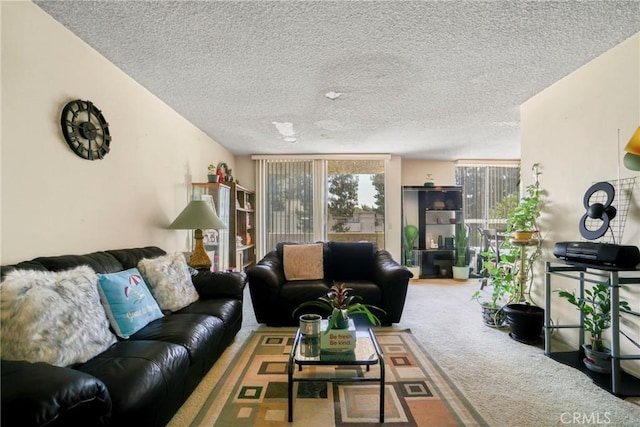 13903 Sherman Way Unit 8, Van Nuys, CA 91405 - carpeted living area with a textured ceiling