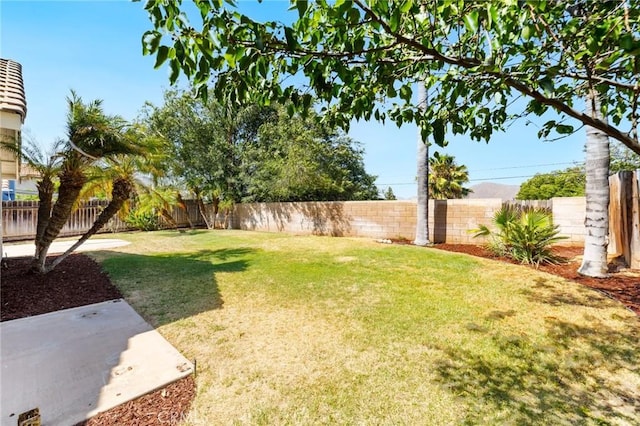 4108 Sunnysage Dr, Jurupa Valley, CA 92509 - view of fenced backyard