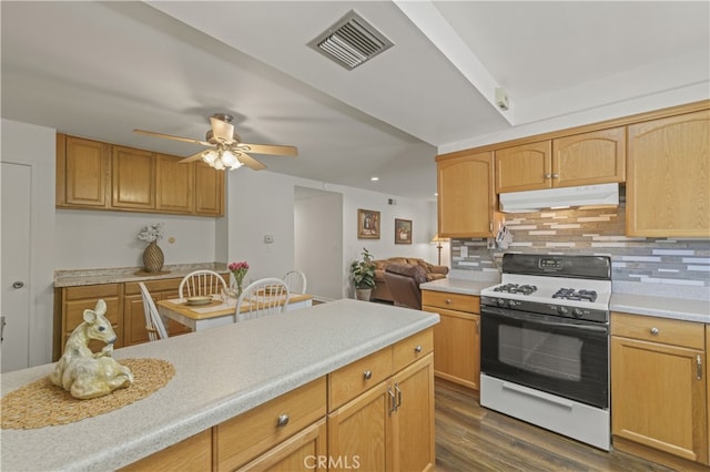 26817 Oak Branch Cir, Newhall, CA 91321 - kitchen with white range with gas cooktop, under cabinet range hood, a ceiling fan, light countertops, and tasteful backsplash