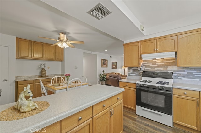 26817 Oak Branch Cir, Newhall, CA 91321 - kitchen with white range with gas stovetop, under cabinet range hood, a ceiling fan, light countertops, and tasteful backsplash