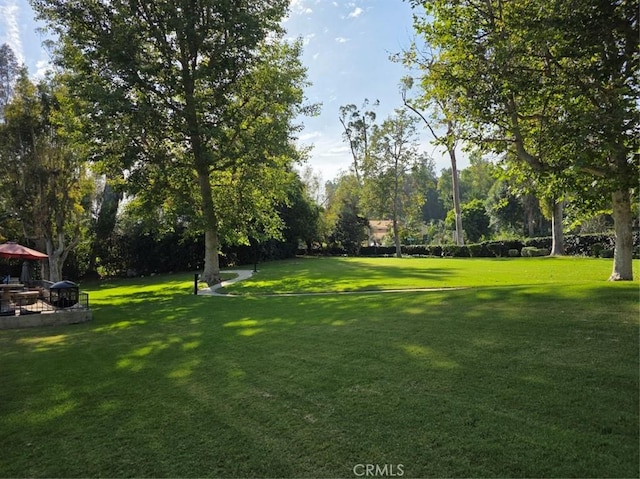9411 Friendly Woods Ln, Whittier, CA 90605 - view of green lawn with view of wooded area
