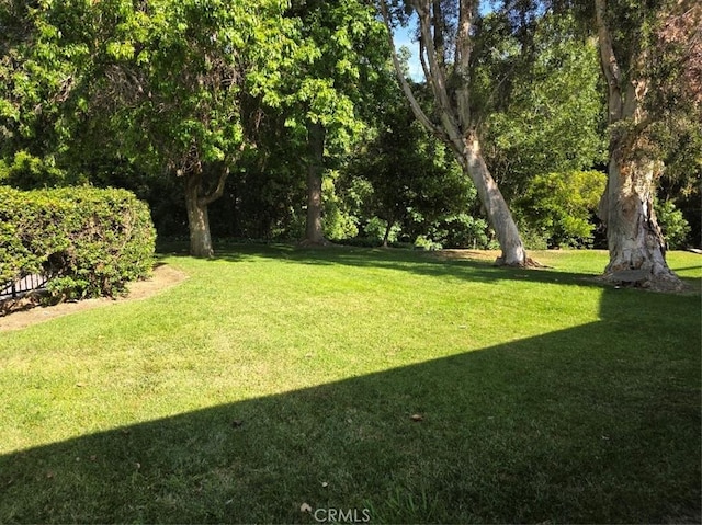 9411 Friendly Woods Ln, Whittier, CA 90605 - view of green lawn