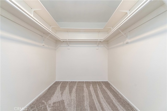 9411 Friendly Woods Ln, Whittier, CA 90605 - spacious closet featuring carpet flooring