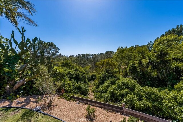 2023 Republic Ave, Costa Mesa, CA 92627 - view of yard featuring a forest view