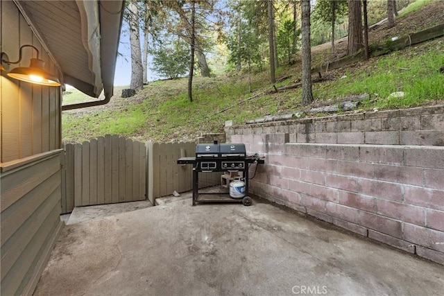 990 Nesthorn Dr, Crestline, CA 92325 - view of patio with grilling area