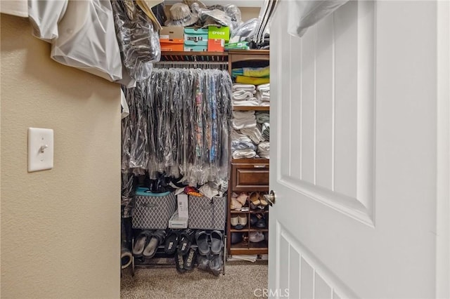 863 Legacy Dr, Lemoore, CA 93245 - walk in closet with carpet flooring