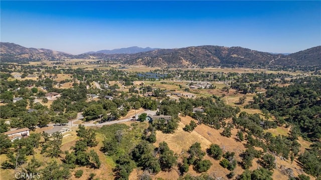 24341 Peso Ct, Tehachapi, CA 93561 - photo 69