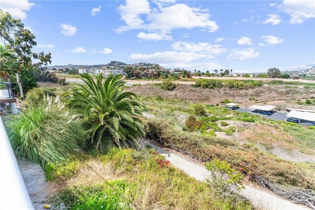 3208 Calle Grande, San Clemente, CA 92672 - view of yard