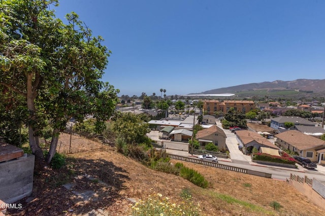 253257 Cedar St, Ventura, CA 93001 - photo 43