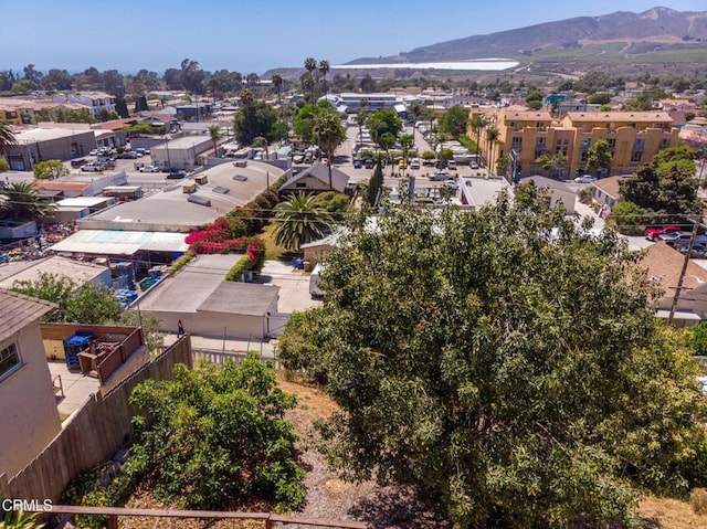 253257 Cedar St, Ventura, CA 93001 - photo 39