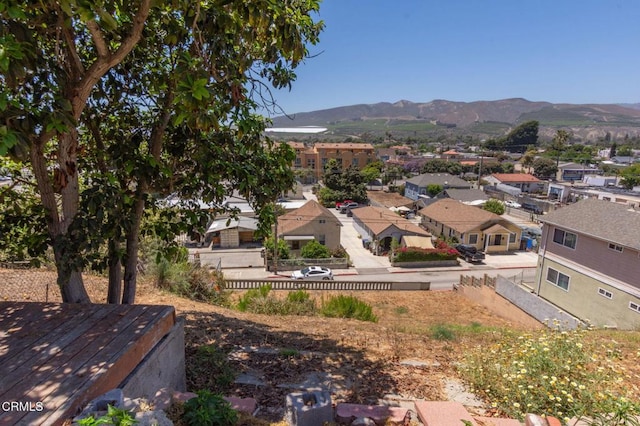253257 Cedar St, Ventura, CA 93001 - photo 42