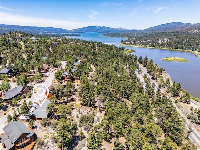 42728 Timberline Trl, Big Bear Lake, CA 92315 - photo 47