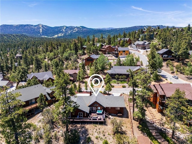42728 Timberline Trl, Big Bear Lake, CA 92315 - photo 44