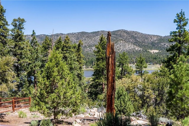 42728 Timberline Trl, Big Bear Lake, CA 92315 - photo 35